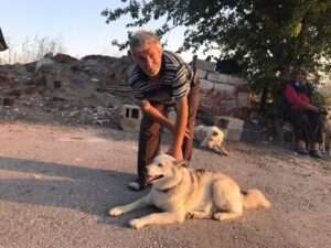 Sokak hayvanalrını beslerken başından vuruldu